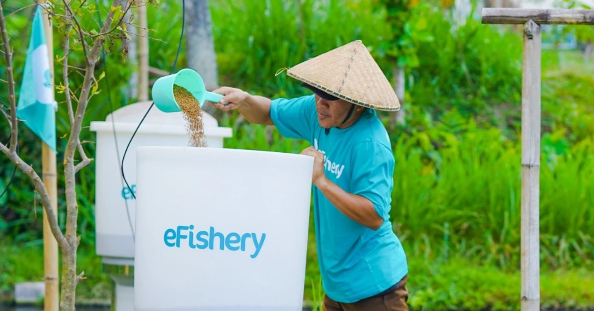 eFishery Investors – Insights From The Share Filings